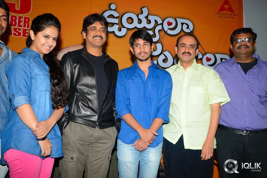 Uyyala-Jampala-Movie-Press-Meet-